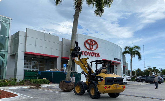 Sanctuary Gardens Commercial Landscaping