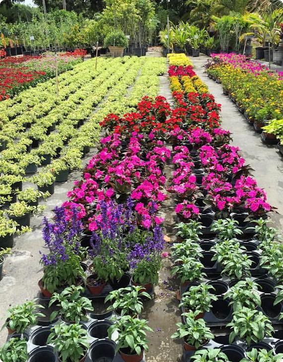 Sanctuary Gardens Commercial Landscaping